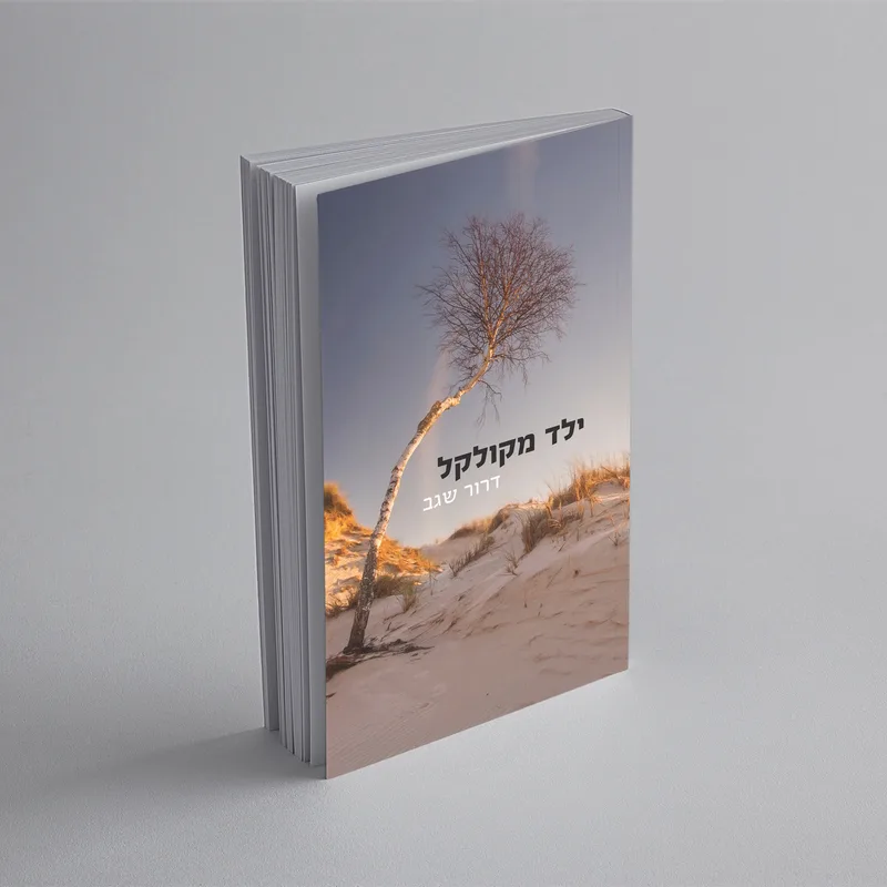 עטיפת הספר "ילד מקולקל" מאת דרור שגב